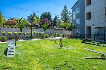 Dog park with agility equipment